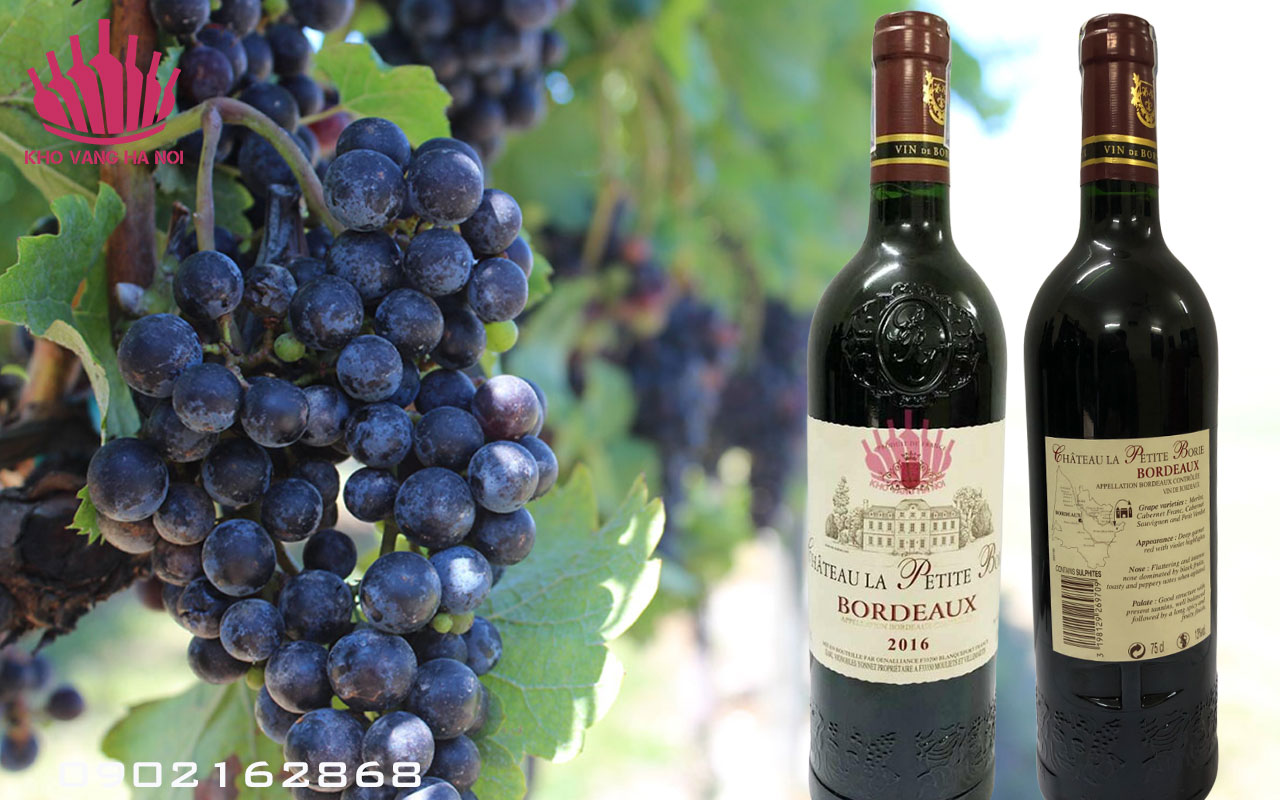 Chateau la petite vang Rượu Vang Bordeaux Chateau La Petite Bogue 750ml, 13,5° cồn