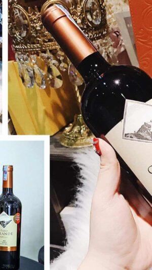 Rượu Vang Chile Paso Grande Cabernet Sauvignon Ngon Giá Tốt