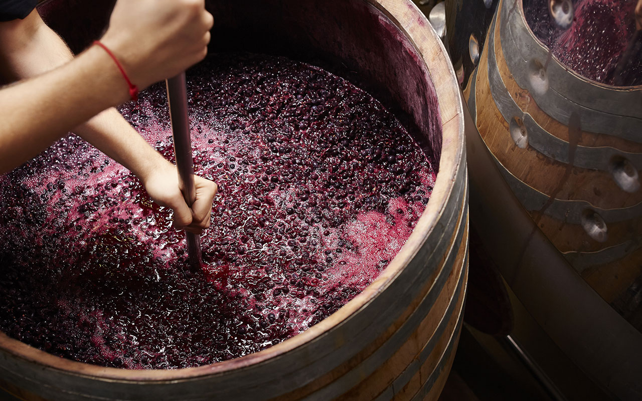 Rượu vang G79 Vino Rosso 4 Vang G79 Hao Hang Rượu vang G79 Vino Rosso