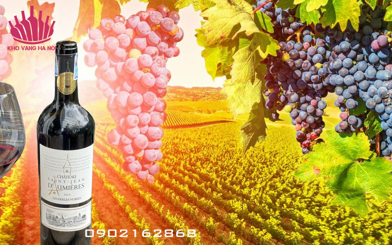 chateau saint jean daumieres les perles noires4 Chateau Saint Jean Daumieres Les Perles Noires - 750ml