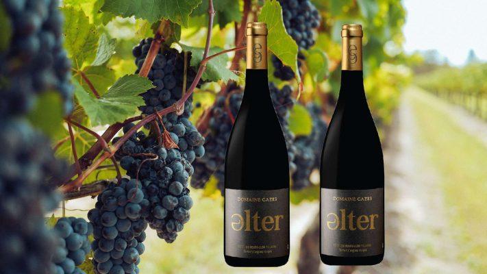 Rượu vang đỏ giá bao nhiêu? Loại nào ngon nhất? 4 Vang đỏ Domaine Cazes Alter