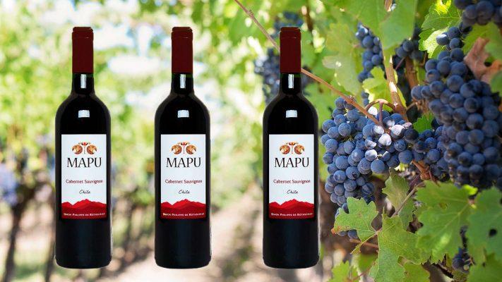 Rượu vang đỏ giá bao nhiêu? Loại nào ngon nhất? 6 Vang đỏ Mapu Cabernet Sauvignon