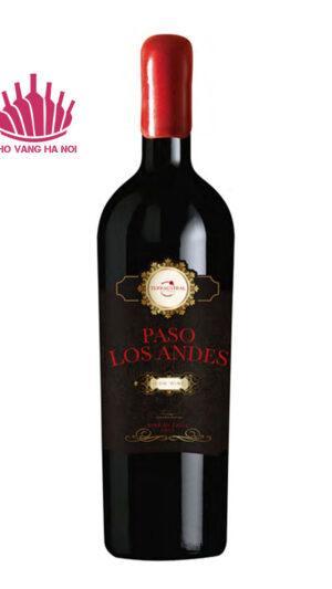 Paso Los Andes Icon Cabernet Sauvignon