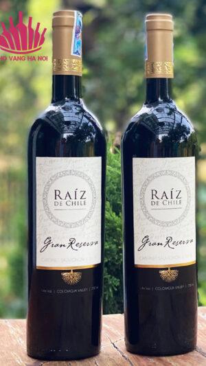 Raiz Gran Reserva Cabernet 2 Raiz de Chile Gran Reserva - rượu vang đỏ từ Chile