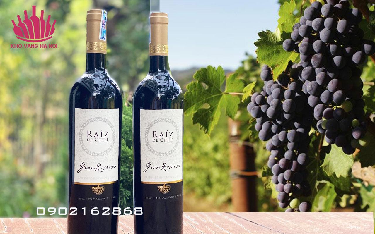 Raiz Gran Reserva Cabernet 5 1 Raiz de Chile Gran Reserva - rượu vang đỏ từ Chile