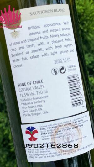 Raiz Sauvignon Blanc 1 Raiz Sauvignon Blanc2 Raiz Sauvignon Blanc