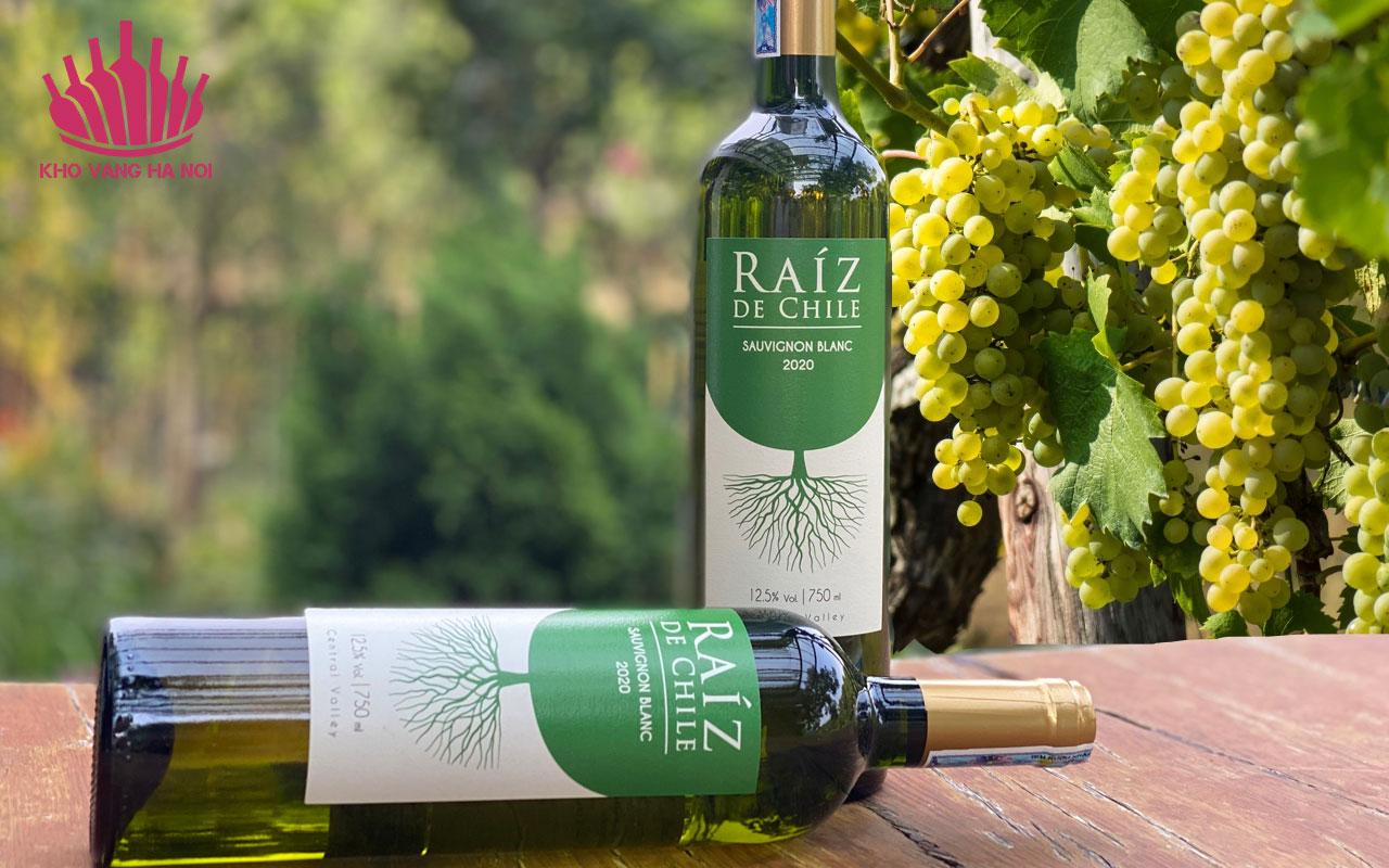 Raiz Sauvignon Blanc4 Raiz Sauvignon Blanc