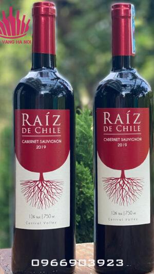 Raiz Cabernet Sauvignon 2 vangRaiz2 Raiz Cabernet Sauvignon