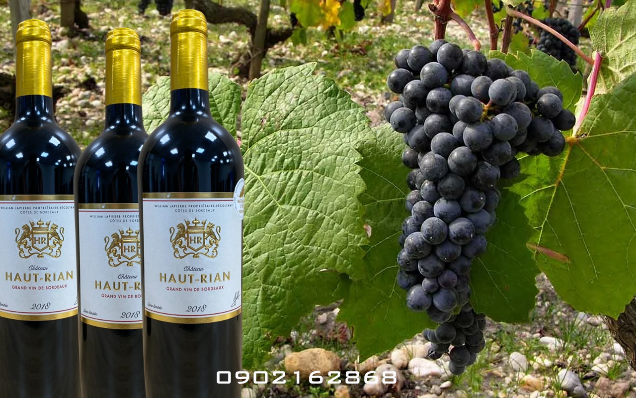 FChateau haunt rian3 Vang Chateau Haut Rian - 750ml