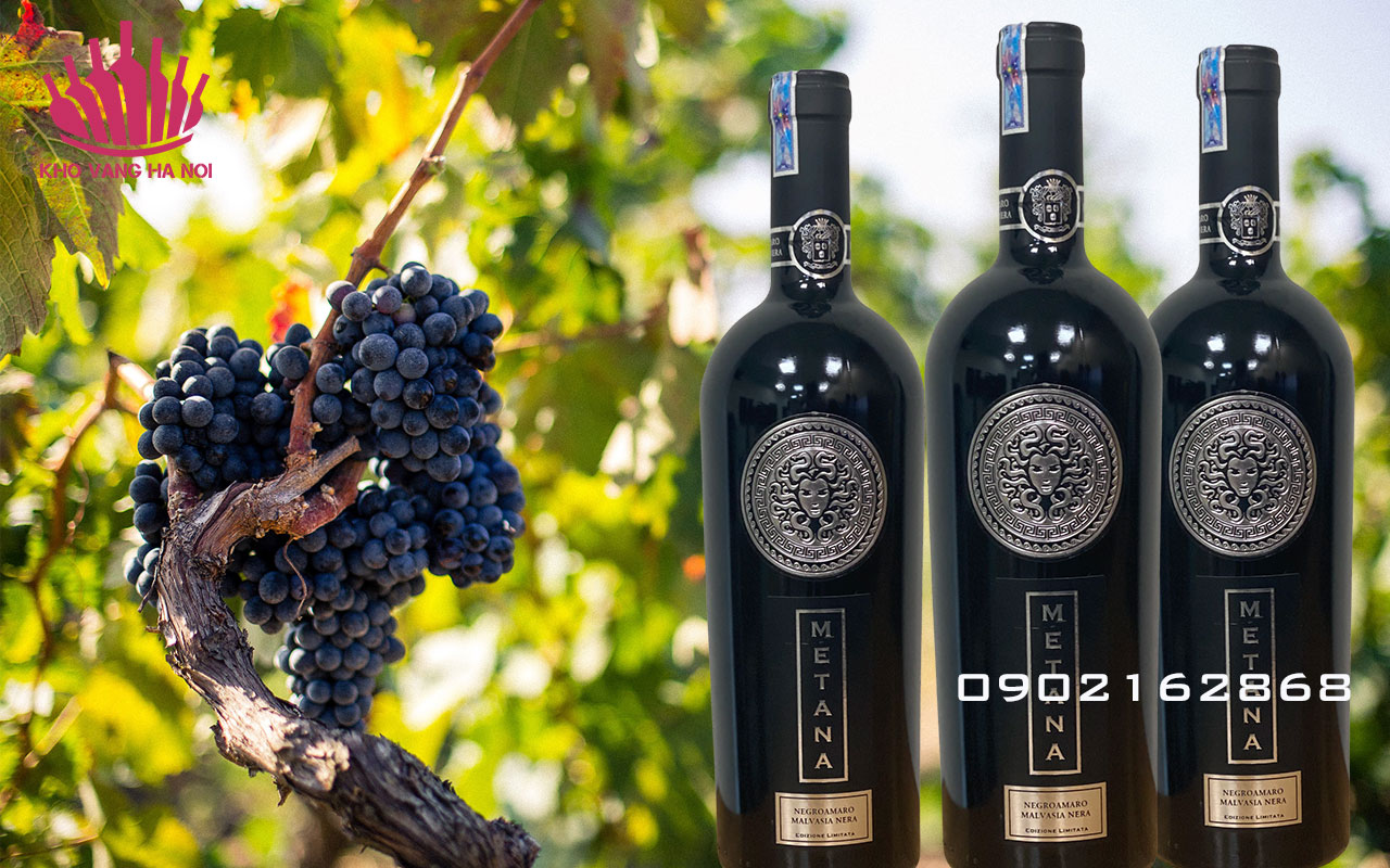Metana 17do 2 Rượu Vang Metana Negroamaro Malvasia Nera