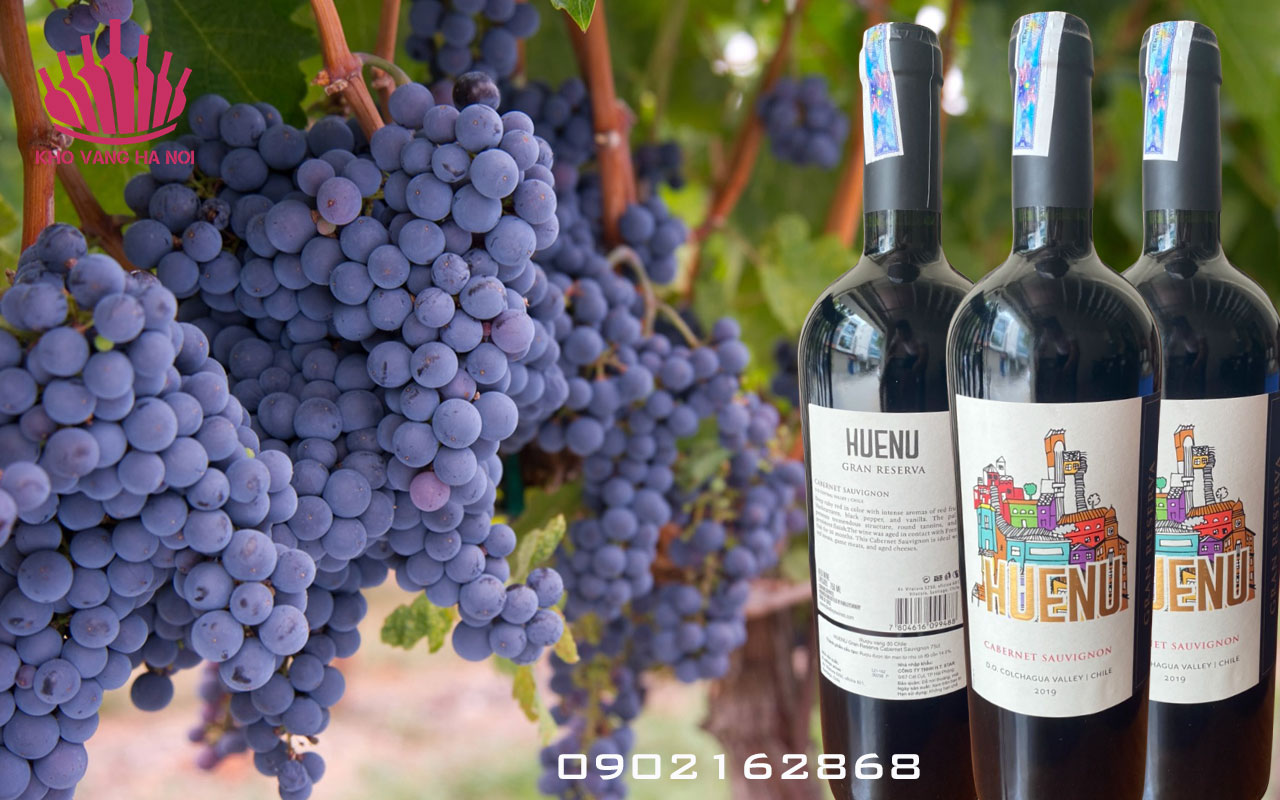 Huenu grand reserve Vang Chile Huenu Gran Reserva Cabernet Sauvignon