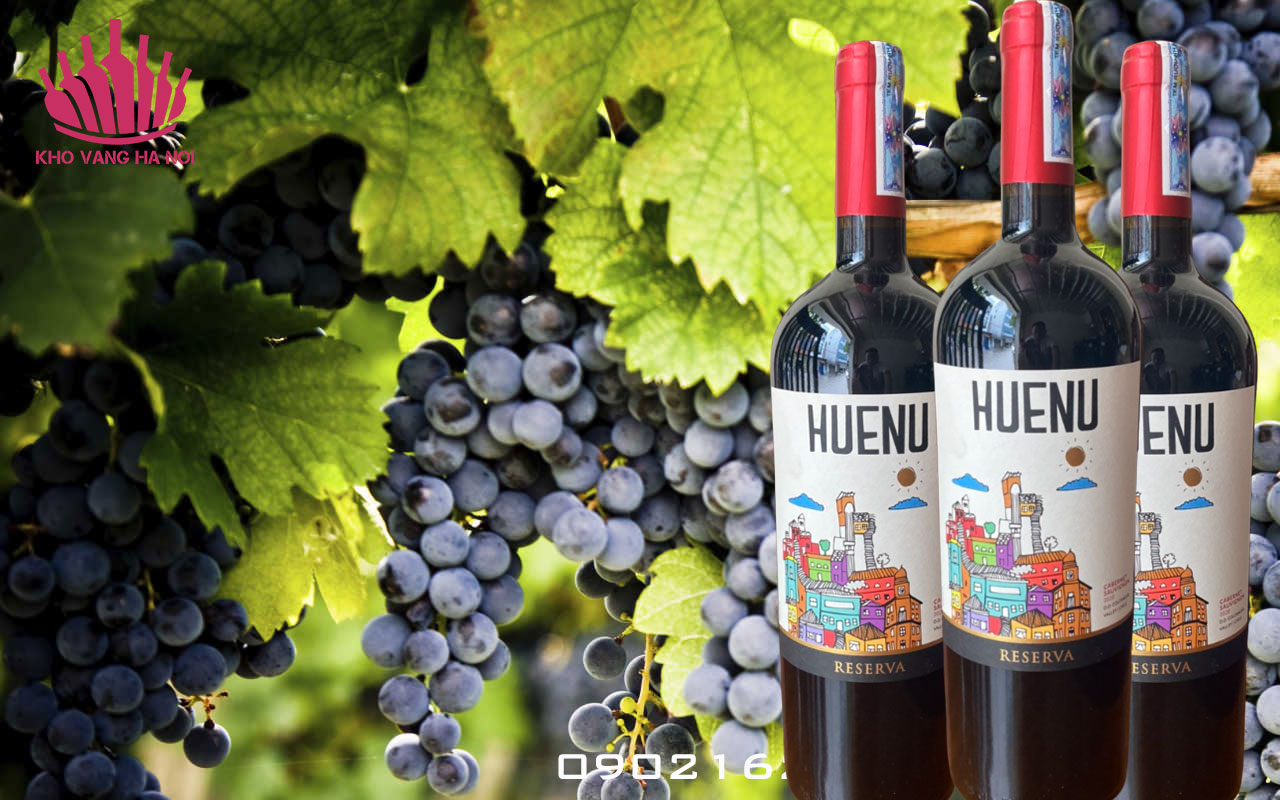 Huenu reserve2 Huenu Reserva Cabernet Sauvignon - Rượu Vang bình dân từ Chi lê