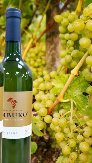 Rượu vang Nam Phi Imbuko Chenin Blanc
