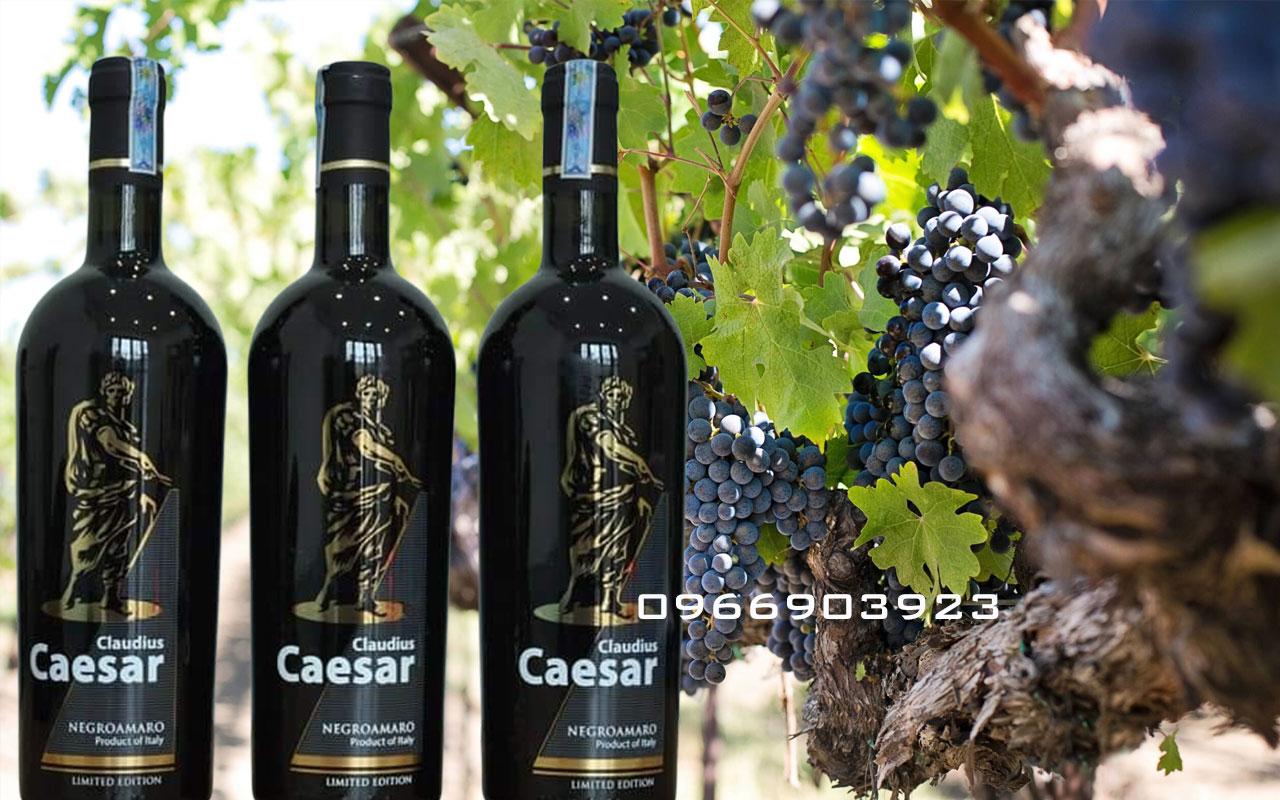 Caesar5 Vang Claudius Caesar Negroamaro Salento