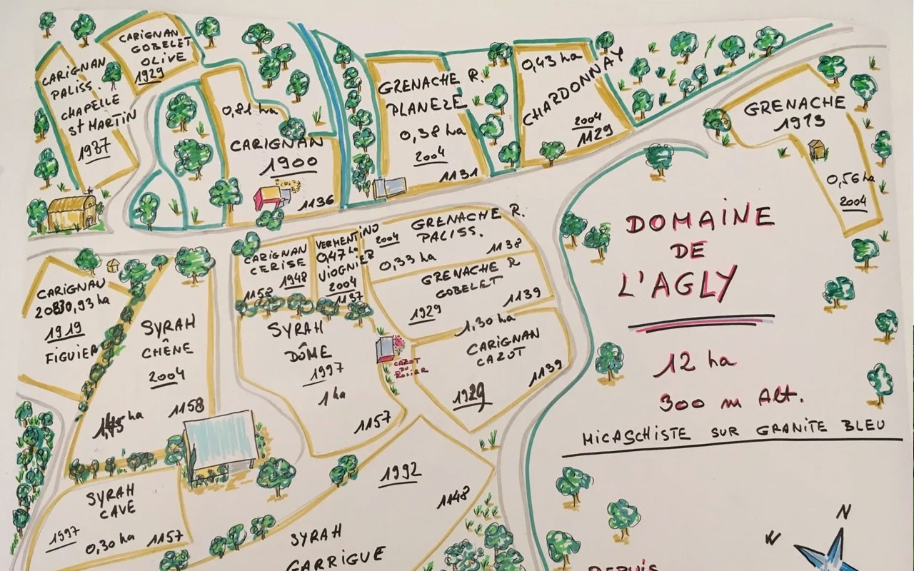 Domaine de lAgly5 Vang Domaine de l'Agly 2015