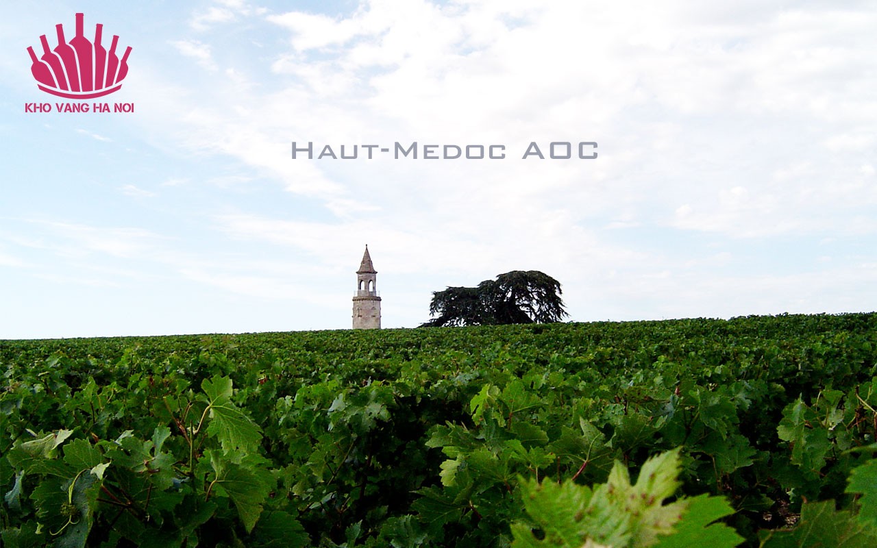 Vang Chateau Du Cartillon giá tốt nhất 5 Domaine de lAgly6 Vang Chateau Du Cartillon giá tốt nhất