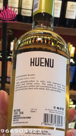 Huenu Sauvignon Blanc 2 Rượu vang trắng Huenu Sauvignon Blanc